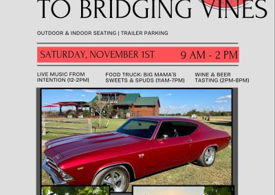 1st Annual CRUISE-IN to Bridging Vines