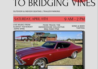 CRUISE-IN TO BRIDGING VINES